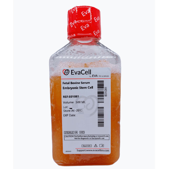 胚胎干細胞專用胎牛血清_abio生物試劑細胞品牌網