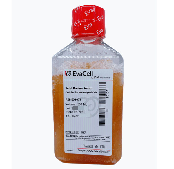 間充質干細胞專用胎牛血清_abio生物試劑細胞品牌網