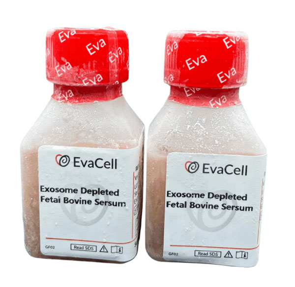 無外泌體胎牛血清_abio生物試劑細胞品牌網