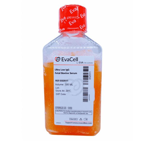 超低IgG胎牛血清_abio生物試劑細胞品牌網